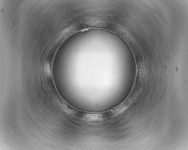 X0000087750089200705211048