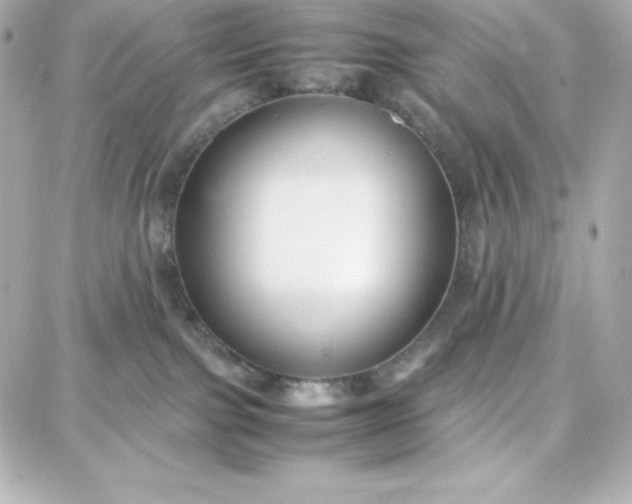 X0000087750091200705211048