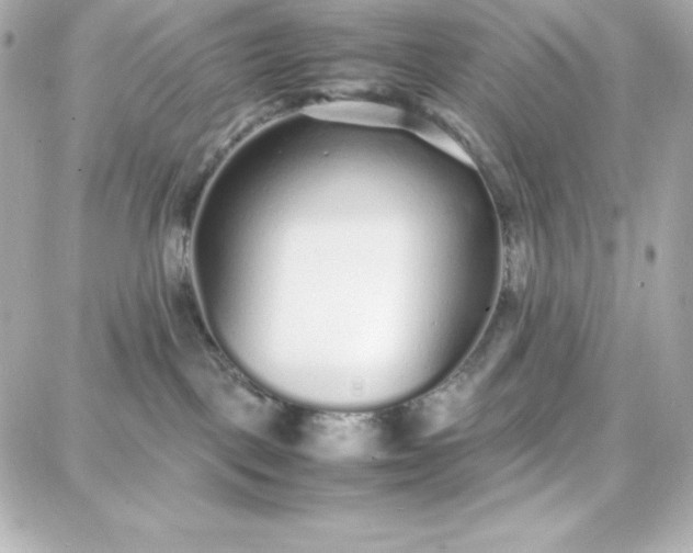 X0000087750093200705211048