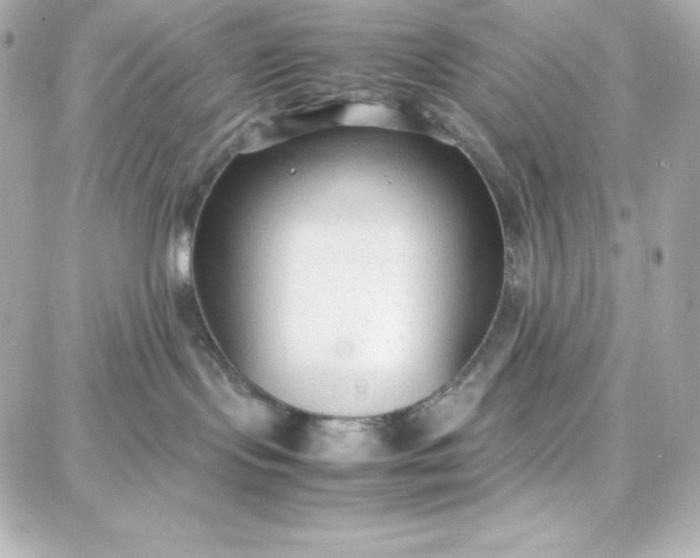 X0000087750095200705211048