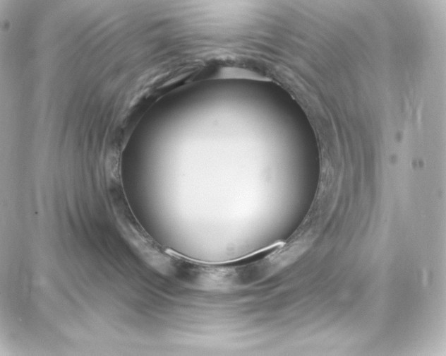 X0000087750096200705211048