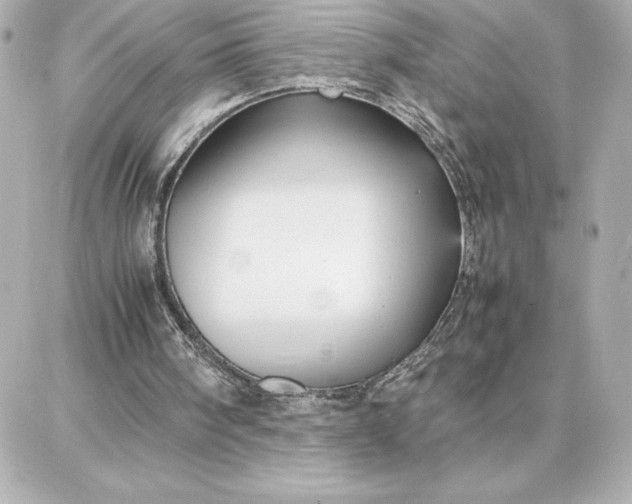 X0000087750098200705211047