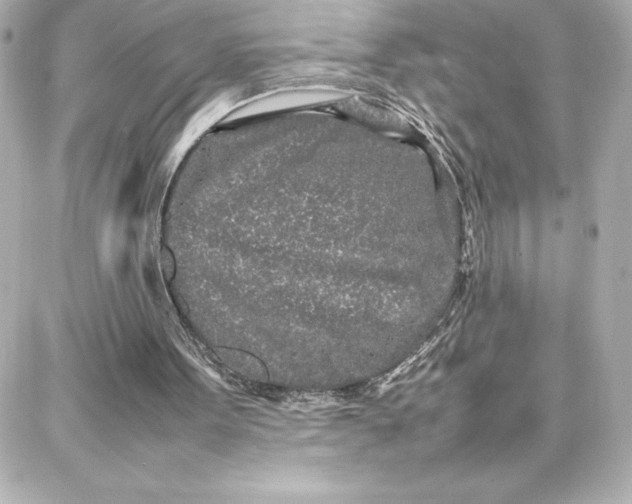 X0000087750099200705211047