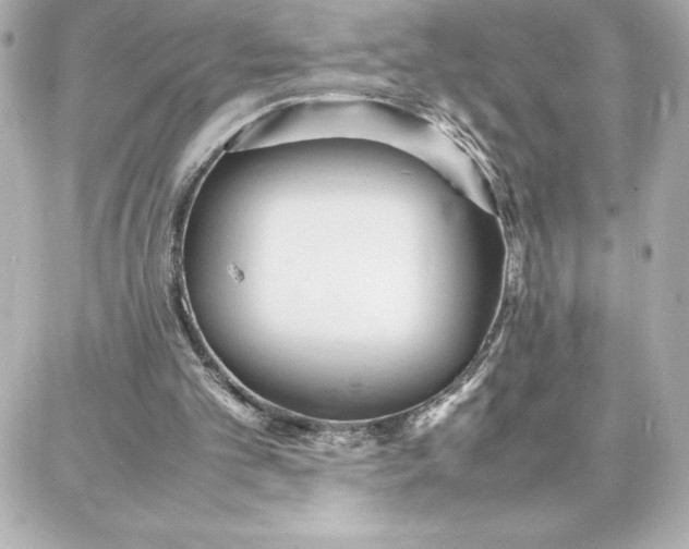 X0000087750101200705211047