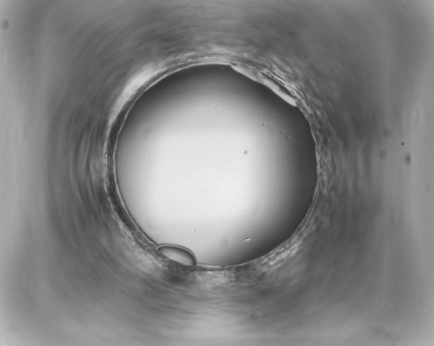 X0000087750102200705211047