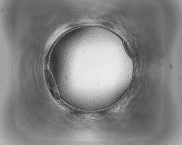 X0000087750103200705211047