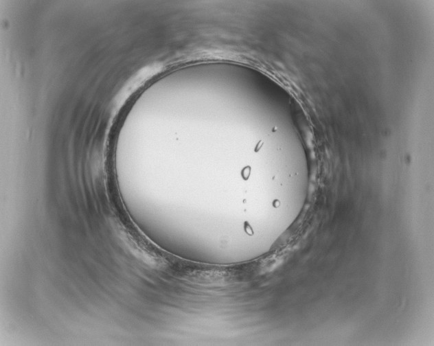 X0000087750104200705211047