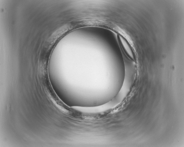 X0000087750105200705211047