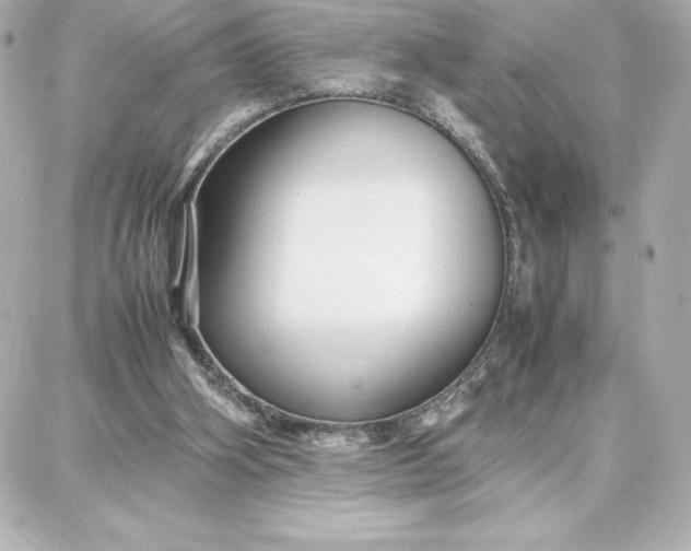 X0000087750106200705211047