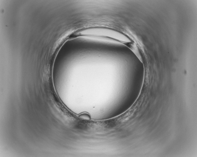 X0000087750107200705211047