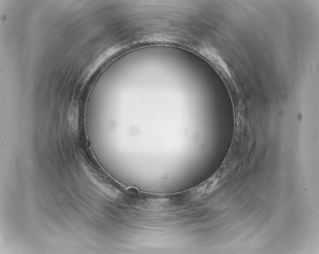 X0000087750108200705211047