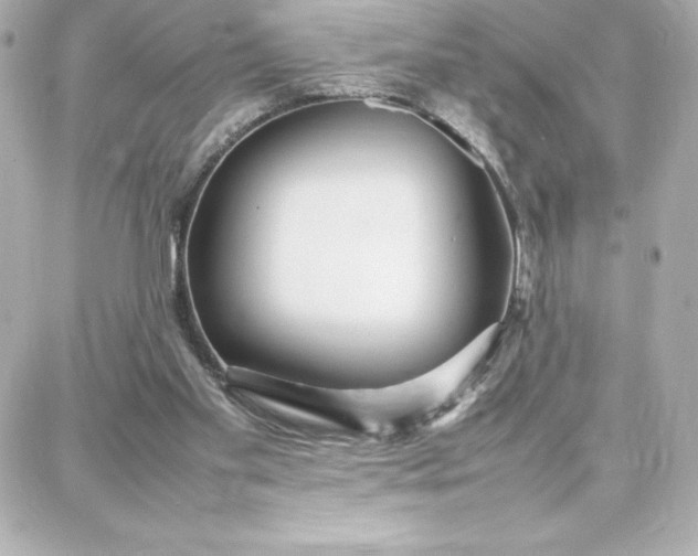 X0000087750109200705211047