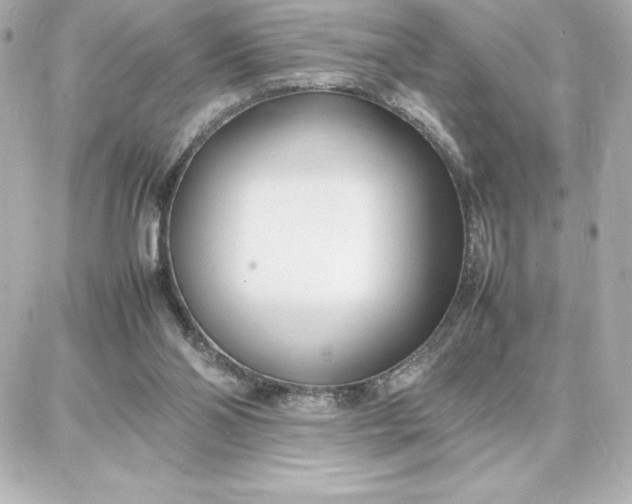 X0000087750110200705211047