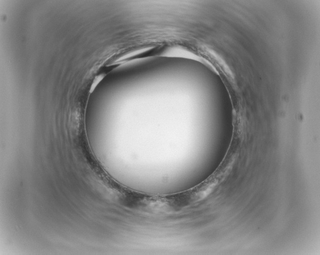 X0000087750113200705211047