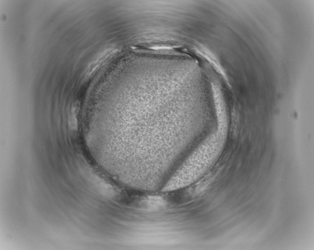 X0000087750114200705211047