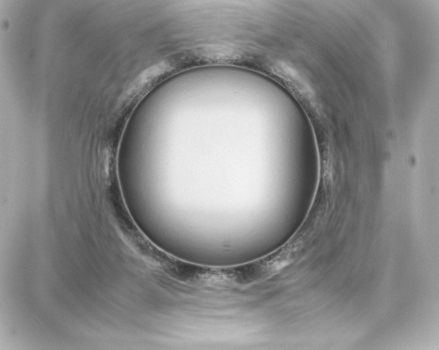 X0000087750115200705211047