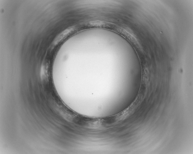 X0000087750116200705211047