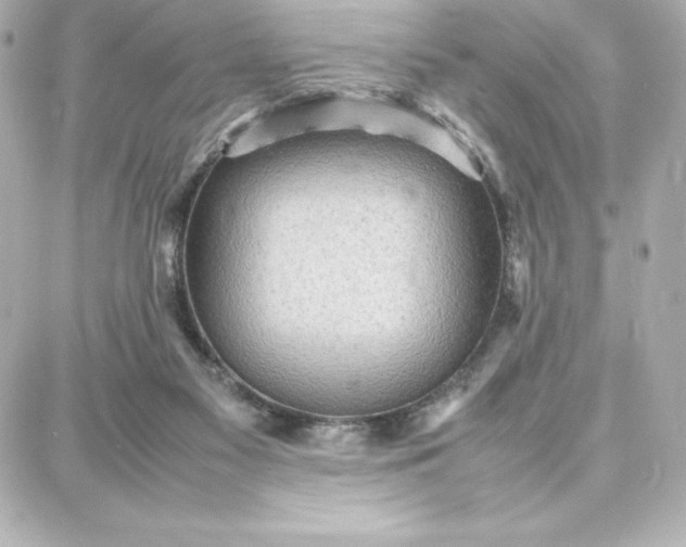 X0000087750117200705211047