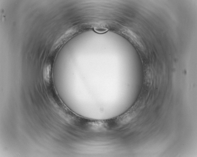 X0000087750118200705211047