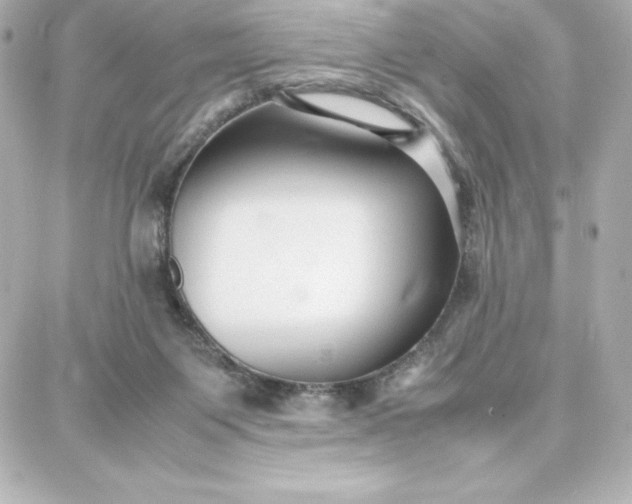 X0000087750119200705211047