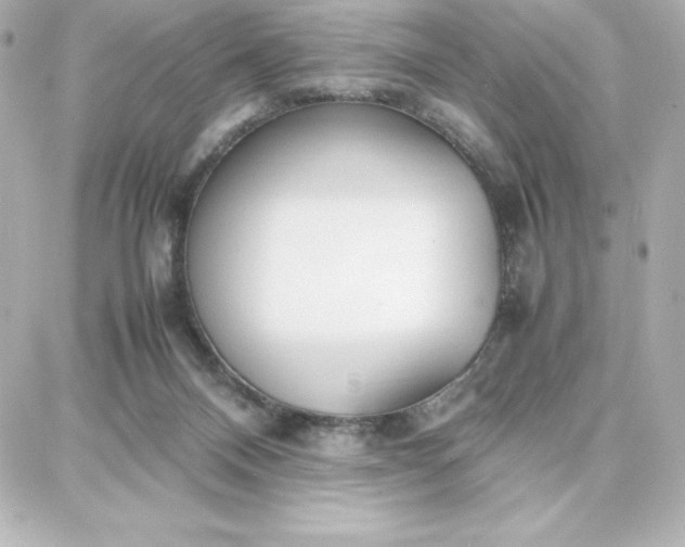 X0000087750120200705211047