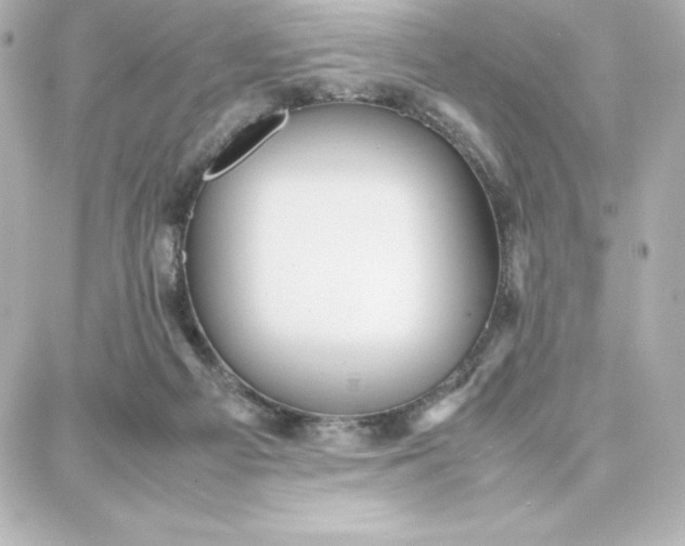 X0000087750121200705211047