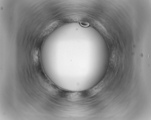 X0000087750122200705211047