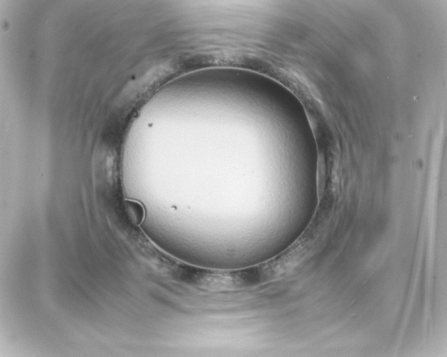 X0000087750123200705211047