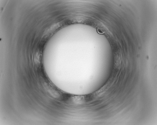 X0000087750126200705211047