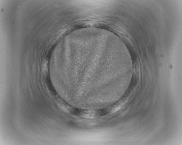 X0000087750127200705211047