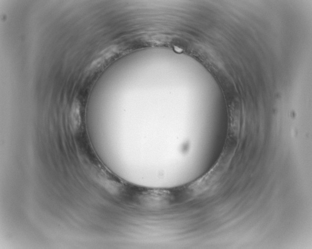 X0000087750128200705211047