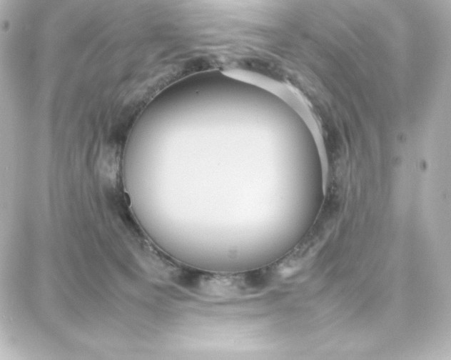 X0000087750129200705211047