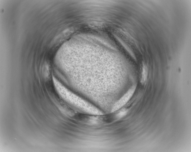 X0000087750130200705211047