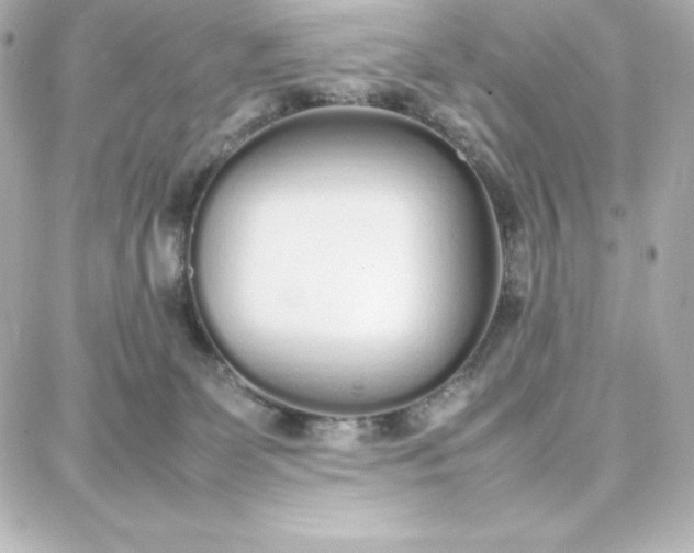 X0000087750131200705211047