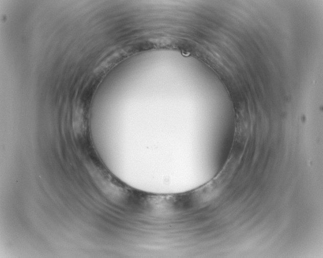 X0000087750136200705211047