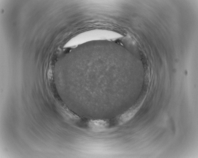 X0000087750137200705211046