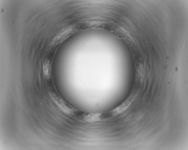 X0000087750138200705211046