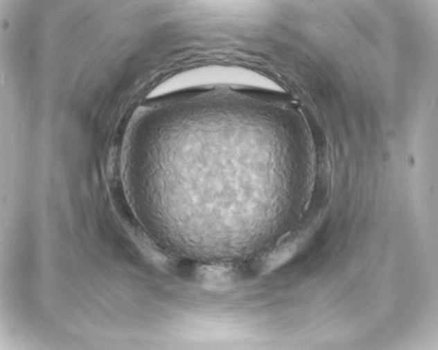 X0000087750139200705211046