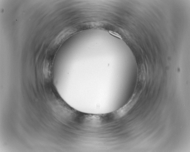 X0000087750140200705211046