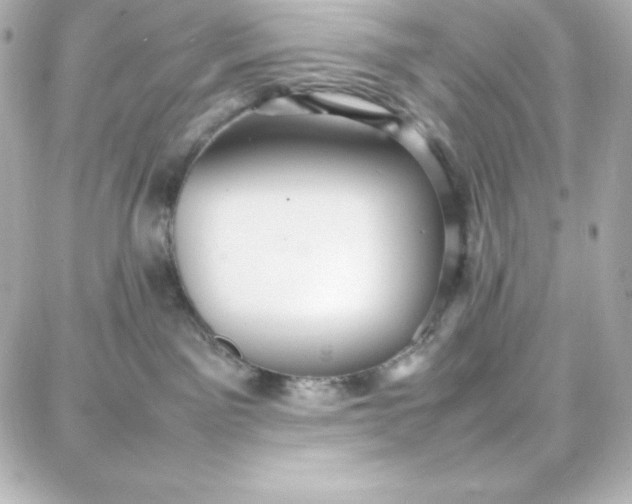 X0000087750141200705211046