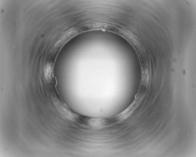 X0000087750142200705211046