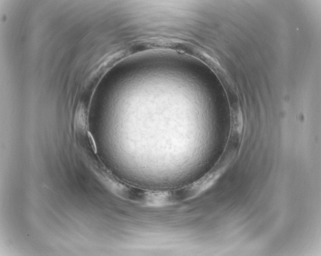 X0000087750143200705211046