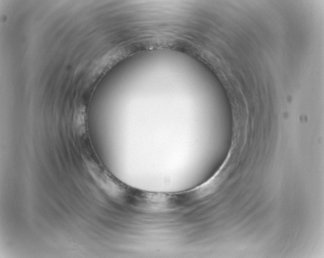 X0000087750144200705211046