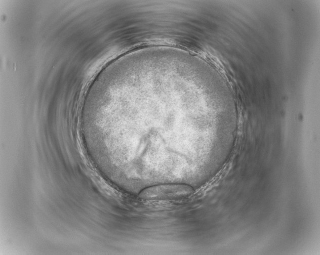 X0000087750145200705211046