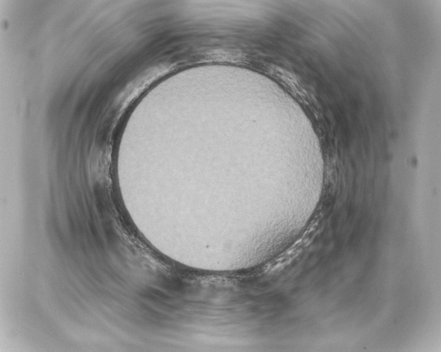 X0000087750146200705211046