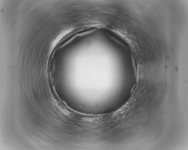 X0000087750147200705211046