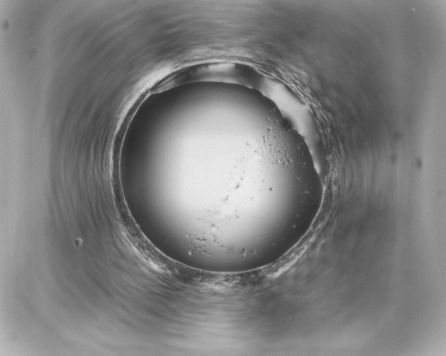 X0000087750148200705211046