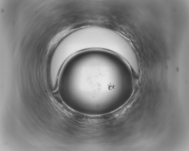 X0000087750149200705211046