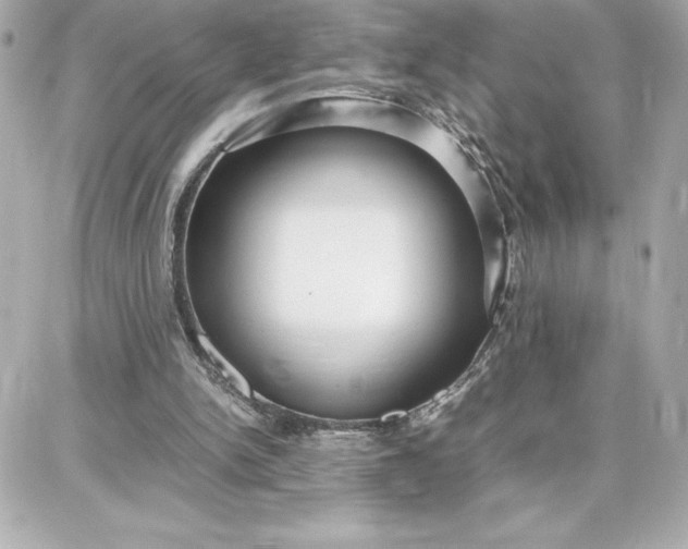 X0000087750150200705211046