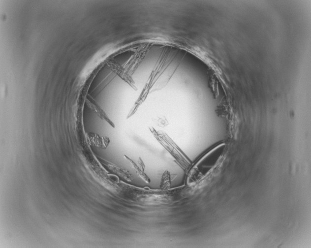 X0000087750151200705211046